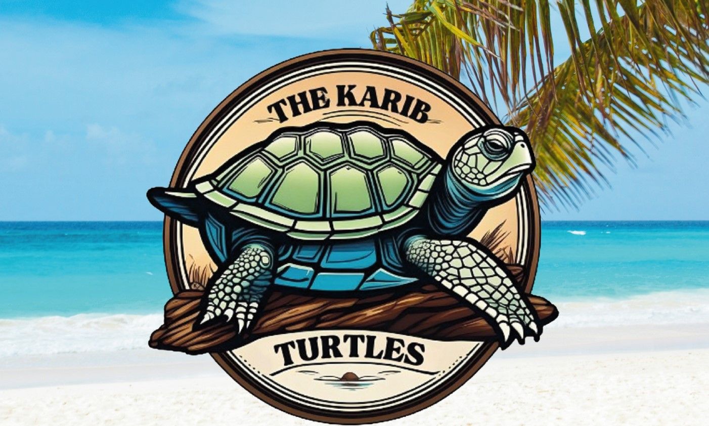 Quartiers d'été : The Karib Turtles / Bords du Volvon